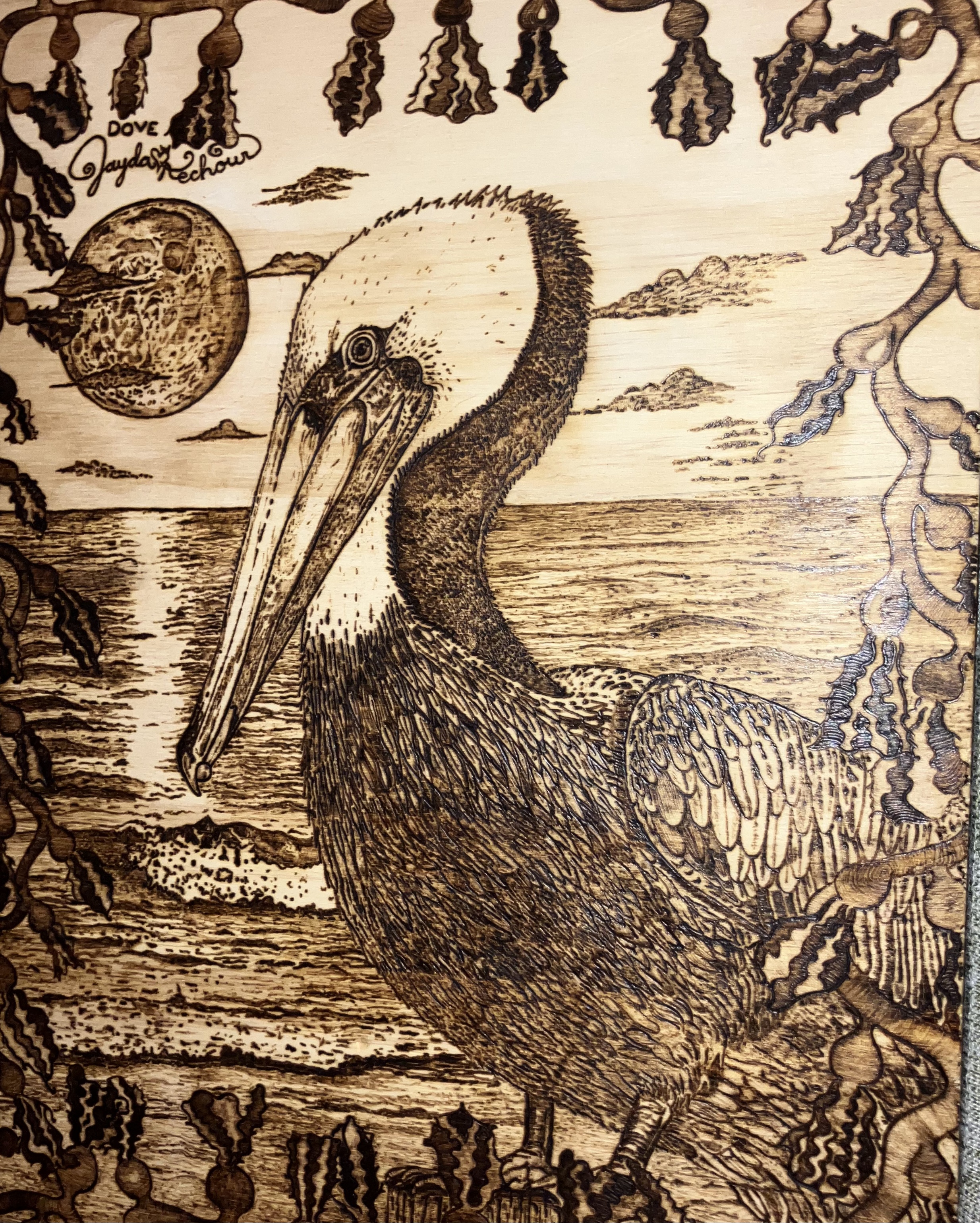 SeaDove — PeliKan Art